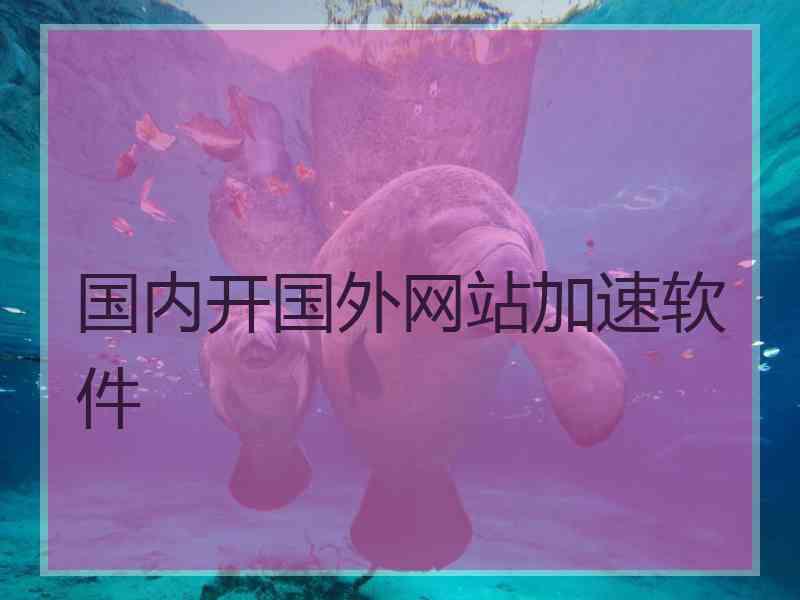 国内开国外网站加速软件