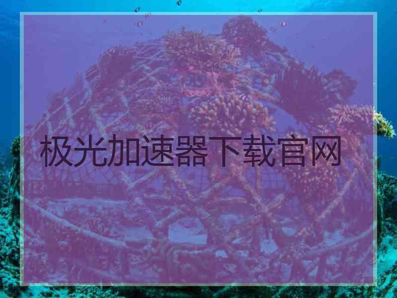 极光加速器下载官网